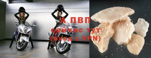 сатива Баксан
