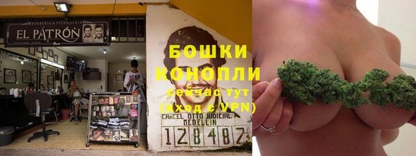 сатива Баксан
