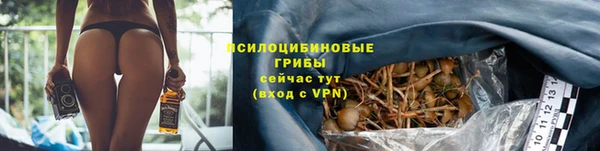 Альфа ПВП Балабаново