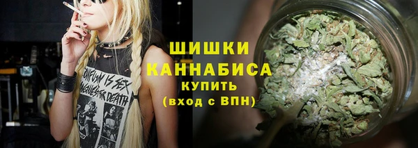 молекула духа Балахна