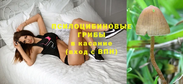 Альфа ПВП Балабаново