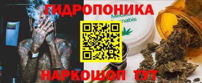 мдпв Жуковский