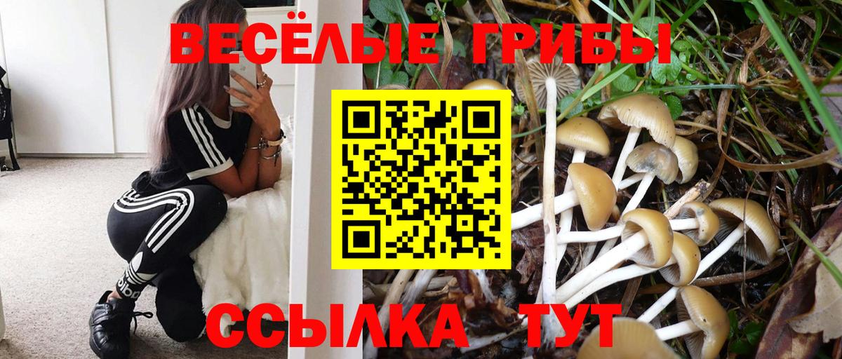 Галлюциногенные грибы GOLDEN TEACHER  Вход с VPN  Псилоцибиновые грибы прущие грибы  продажа наркотиков  Вольск 