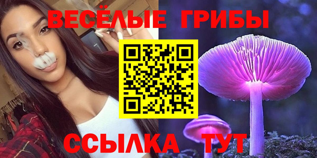 Псилоцибиновые грибы прущие грибы Вольск